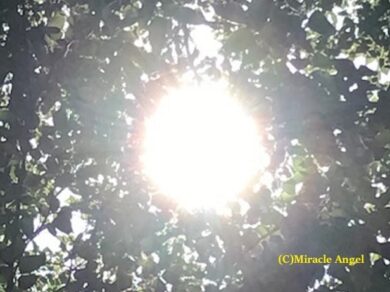 【癒やしの時間】第29回 明日7月17日(水)は一粒万倍日、19日(金)は夏の土用入り!