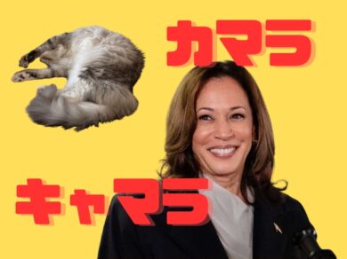 明場由美子　英語コラム　ネコろんで読む英語コラム　レオ　アメリカ大統領選　カマラ・ハリス