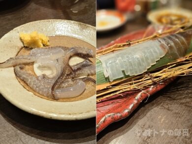 【美味しん坊！バンザイ】美味しいイカ料理に外国人観光客も大喜び（飯田橋・神楽坂／海鮮料理）