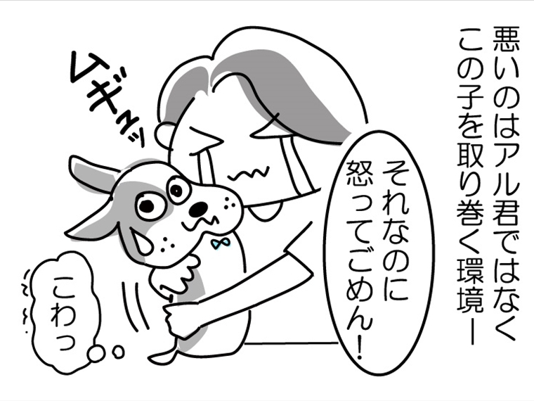 イラストエッセイ　毎日がエンタメ　韓国映画　DOGDAYS　らぶこ　Rin