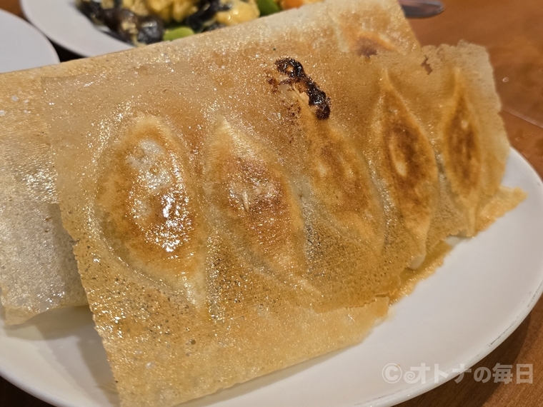 中華料理　羽根つき餃子　你好　ニーハオ　水道橋　美味しん坊