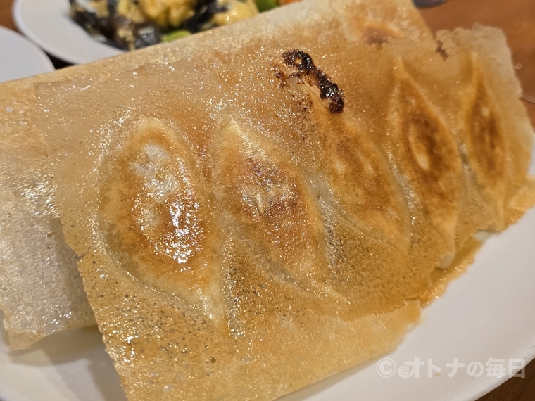 中華料理　羽根つき餃子　你好　ニーハオ　水道橋　美味しん坊