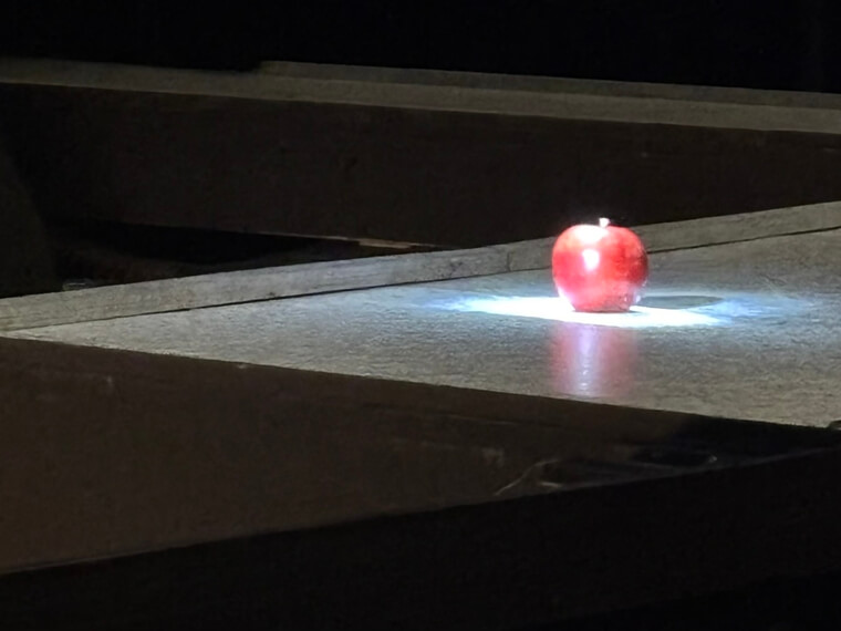 デスノート DEATHNOTE 渡邉蒼 三浦宏規 RYU