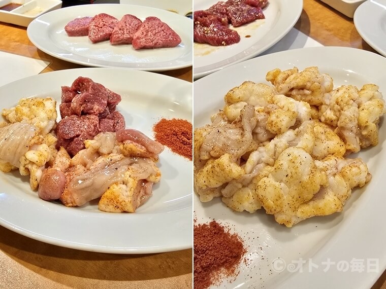 神田　焼肉やっちゃん　ホルモン　テッチャン