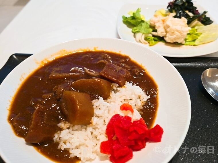 《旅のよもやま話》勝手に勃発したANAとJALのカレー対決