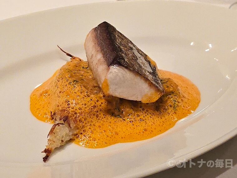 銀座 　ハプスブルク　ランチ　コース料理