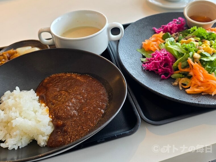 空港 ラウンジ ANA JAL カレーライス