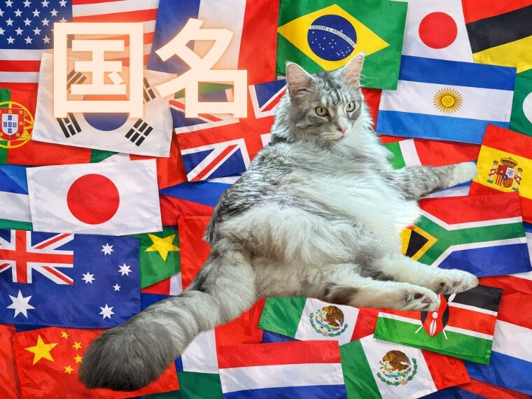 冬季オリンピック 英語コラム 国名 SixTONES