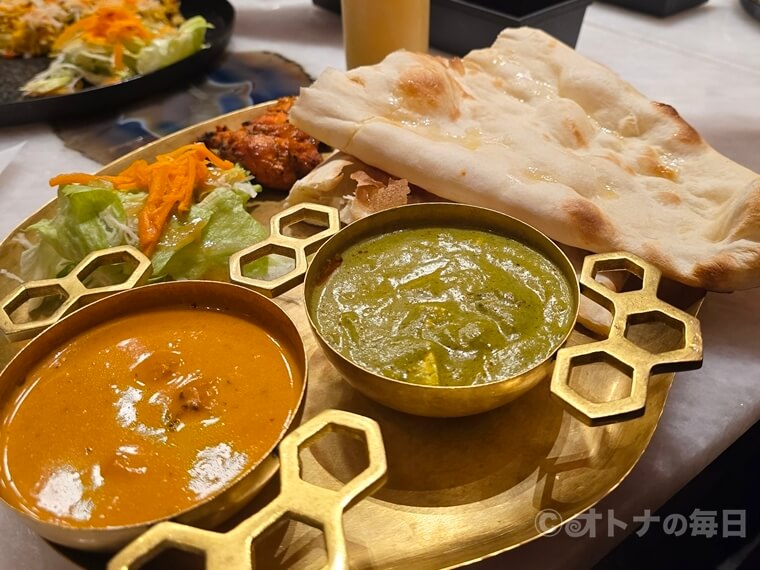 【今日のランチ、なに食べる?】ナンかビリヤニかマサラドーサかで悩んだカレーランチ