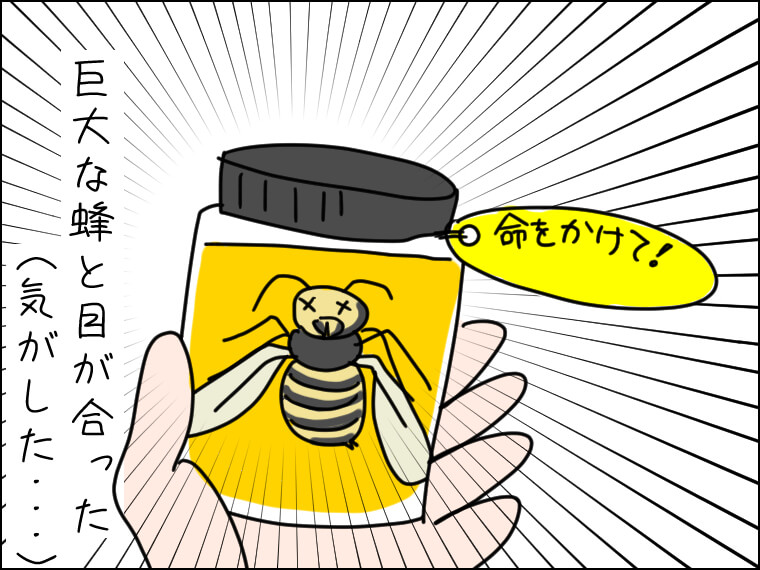毎日がエンタメ 命をかけて 蜂蜜