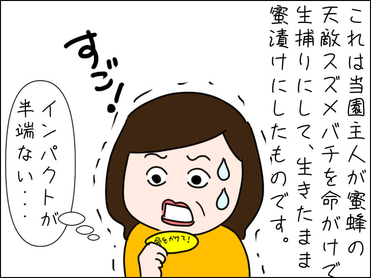 毎日がエンタメ 命をかけて 蜂蜜