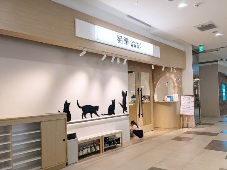 美美台湾 台湾コラム 猫カフェ 貓樂