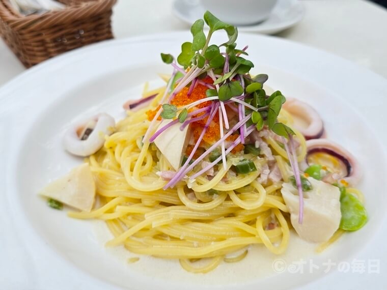 今日のランチ　キハチ青山本店　日本青年館ホール　青山一丁目　外苑前