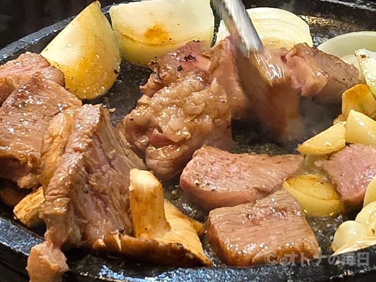 美味しん坊　川崎　焼肉　くいものや　きよすみ　シャトーブリアン